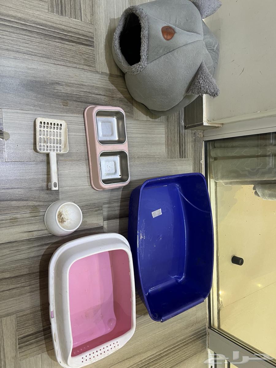 Cat tools64479976222721110