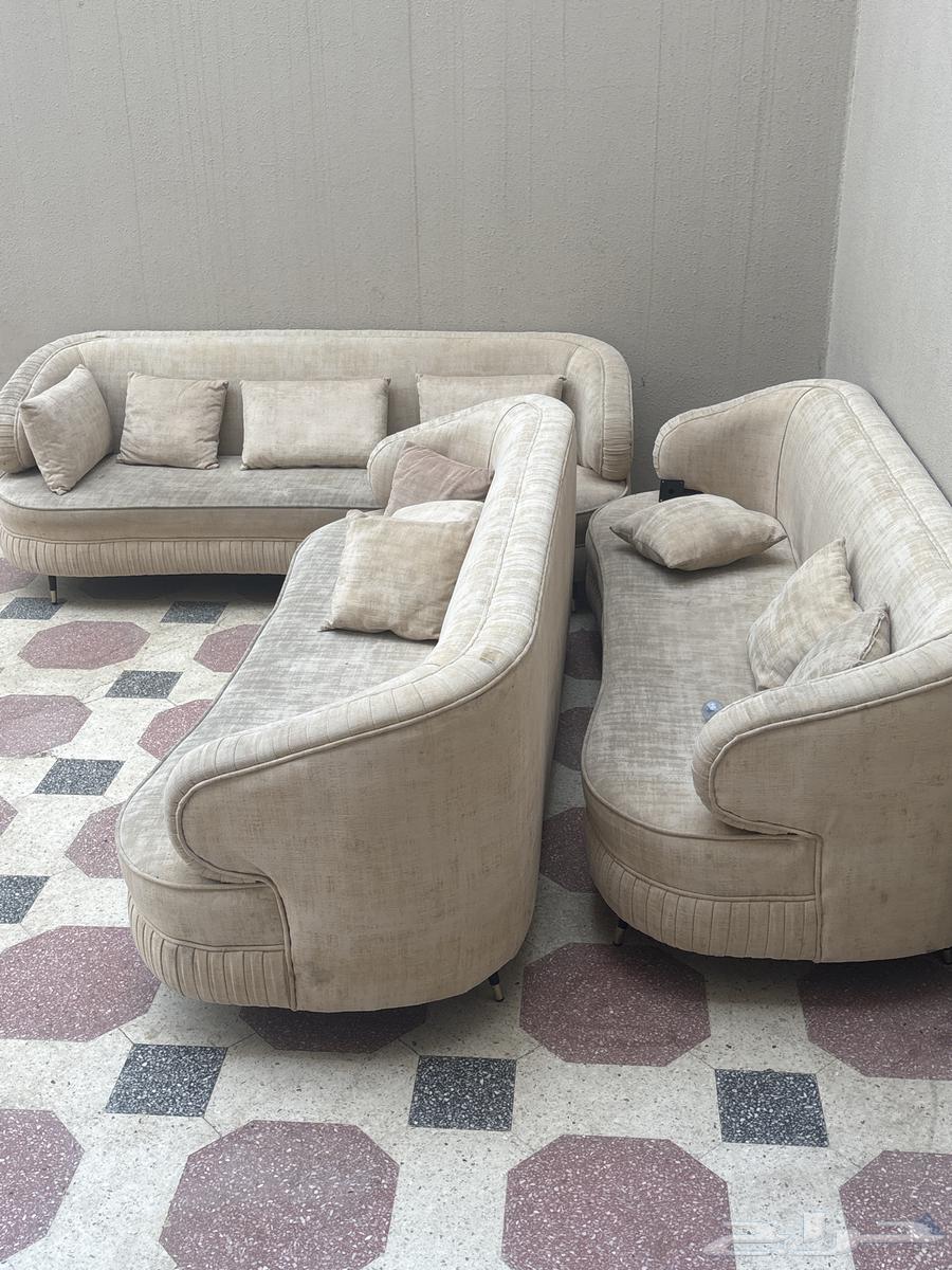 كنب فقط يحتاج غسل64482918987649110