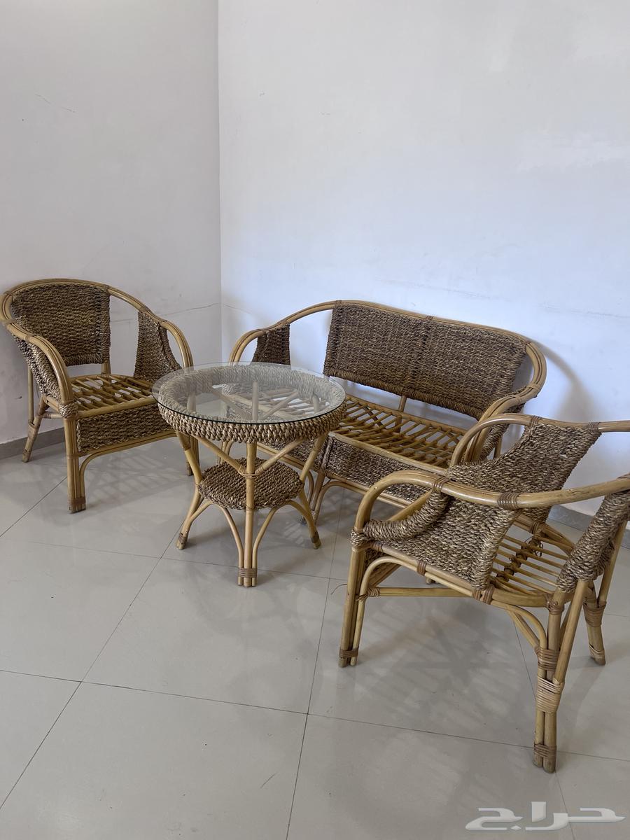 Garden Session64482823105666111