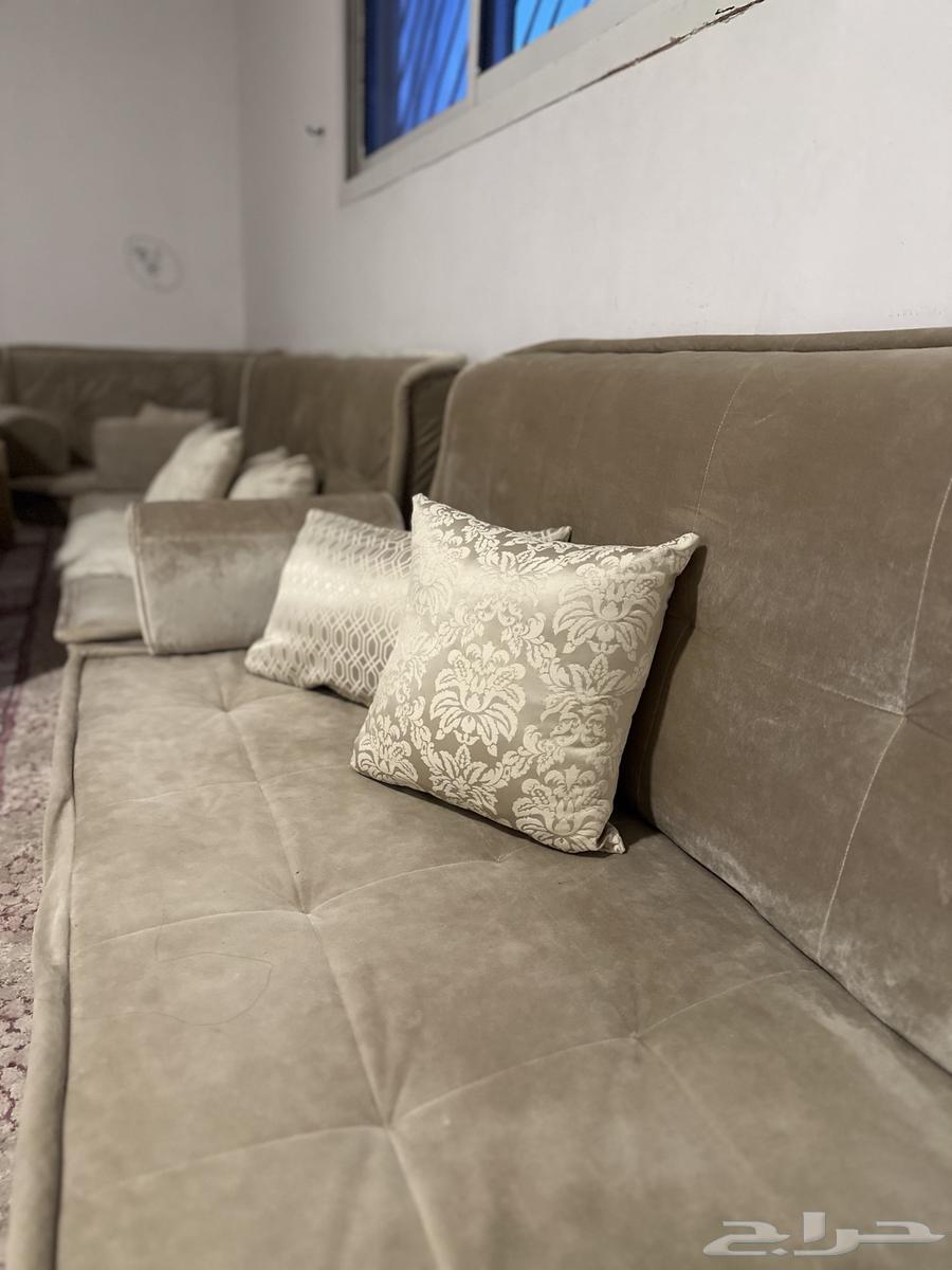 Sofa with cushions64480496606338113