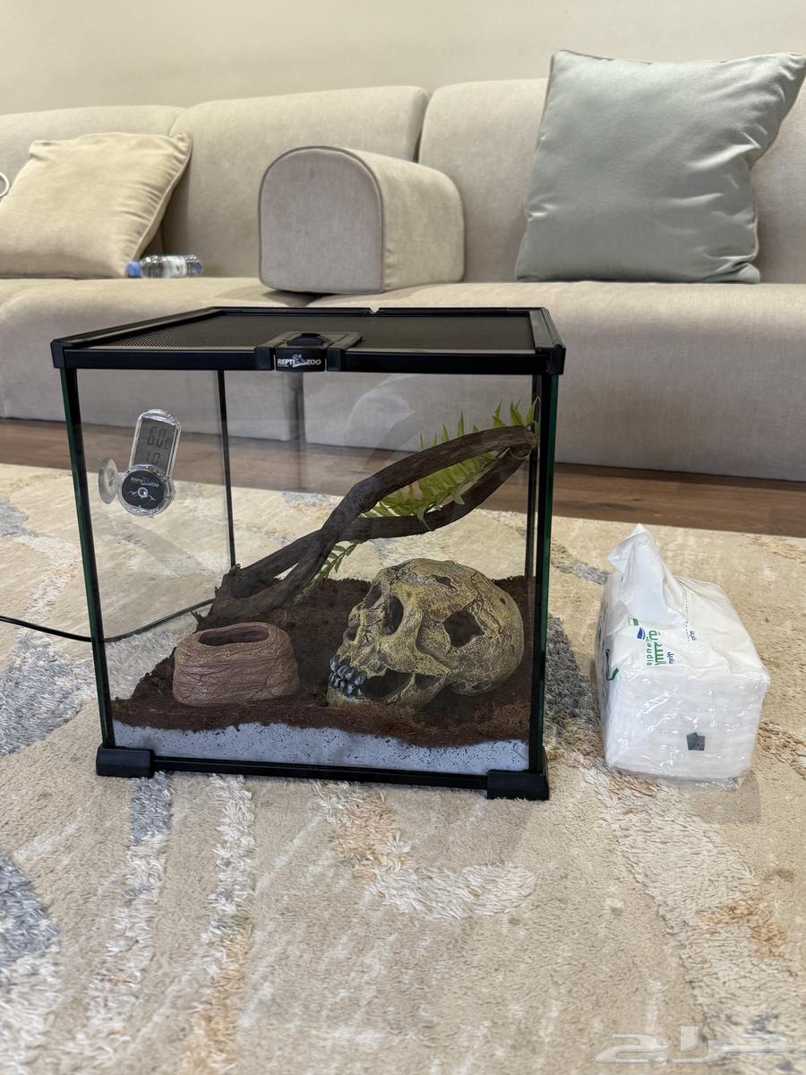 قفص قزاز بيت64482728137091110