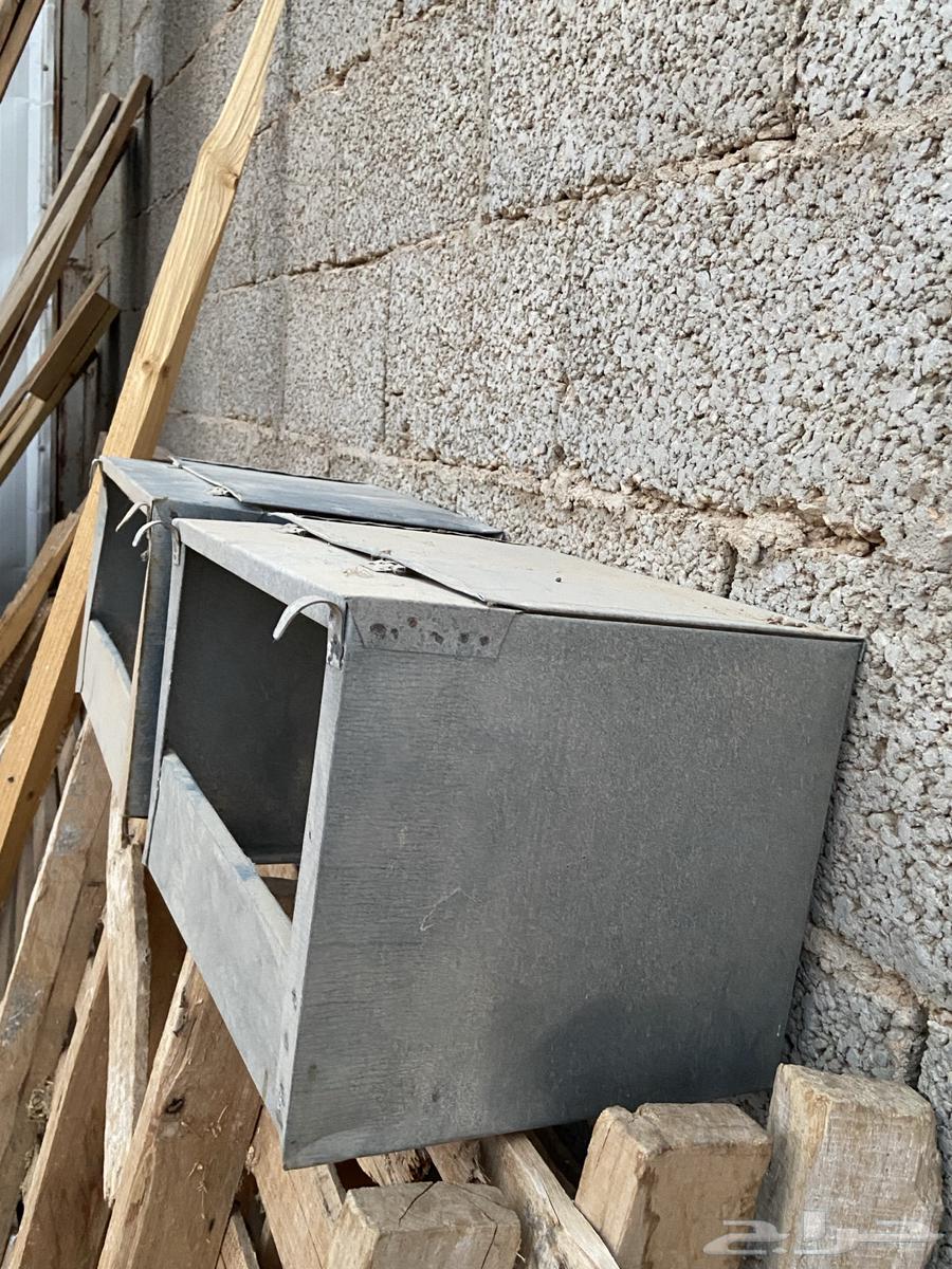 بيوت ولادات ارانب للبطاريات64479960631171112