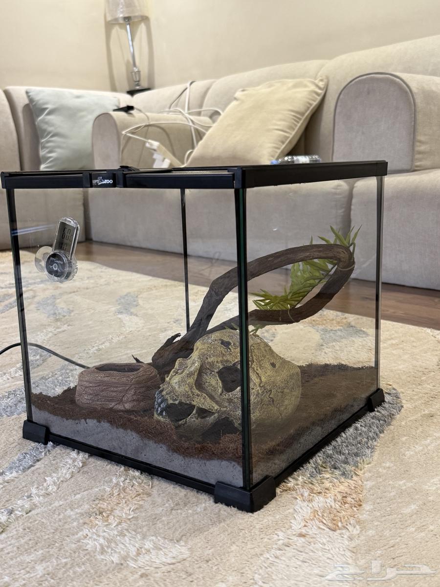 قفص قزاز بيت64482728137091111