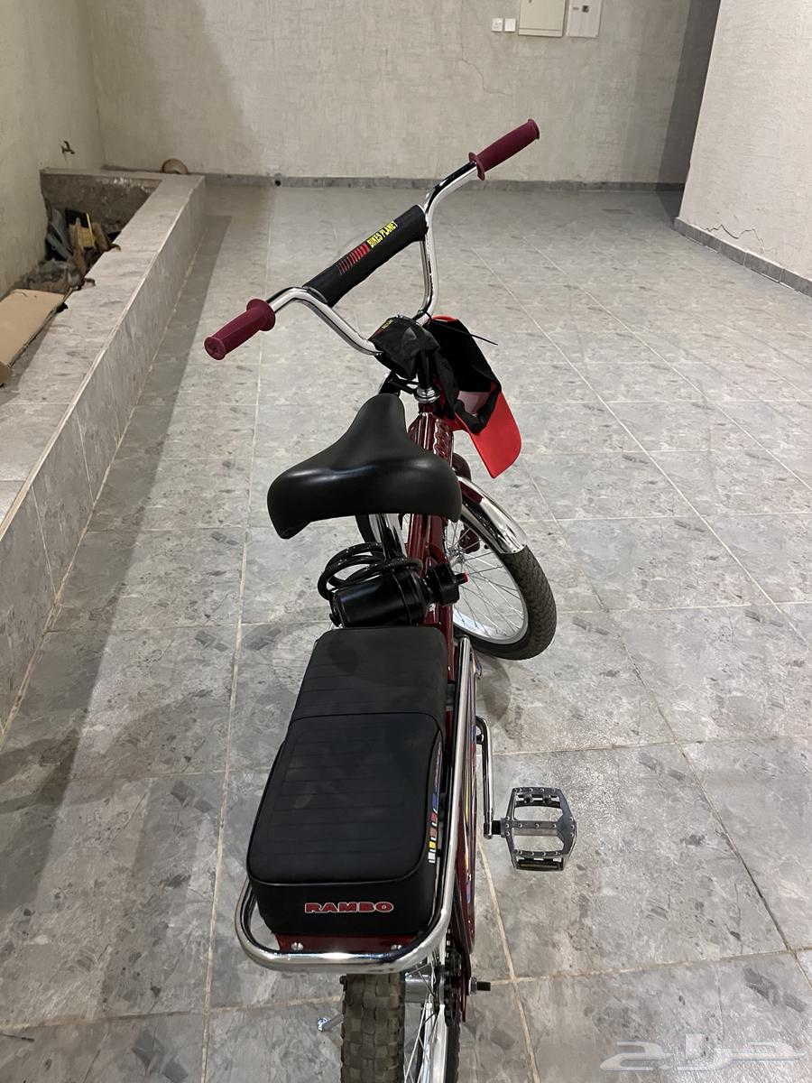 رامبو عنابي الملحم ألاصلي جديدد64485175165057112