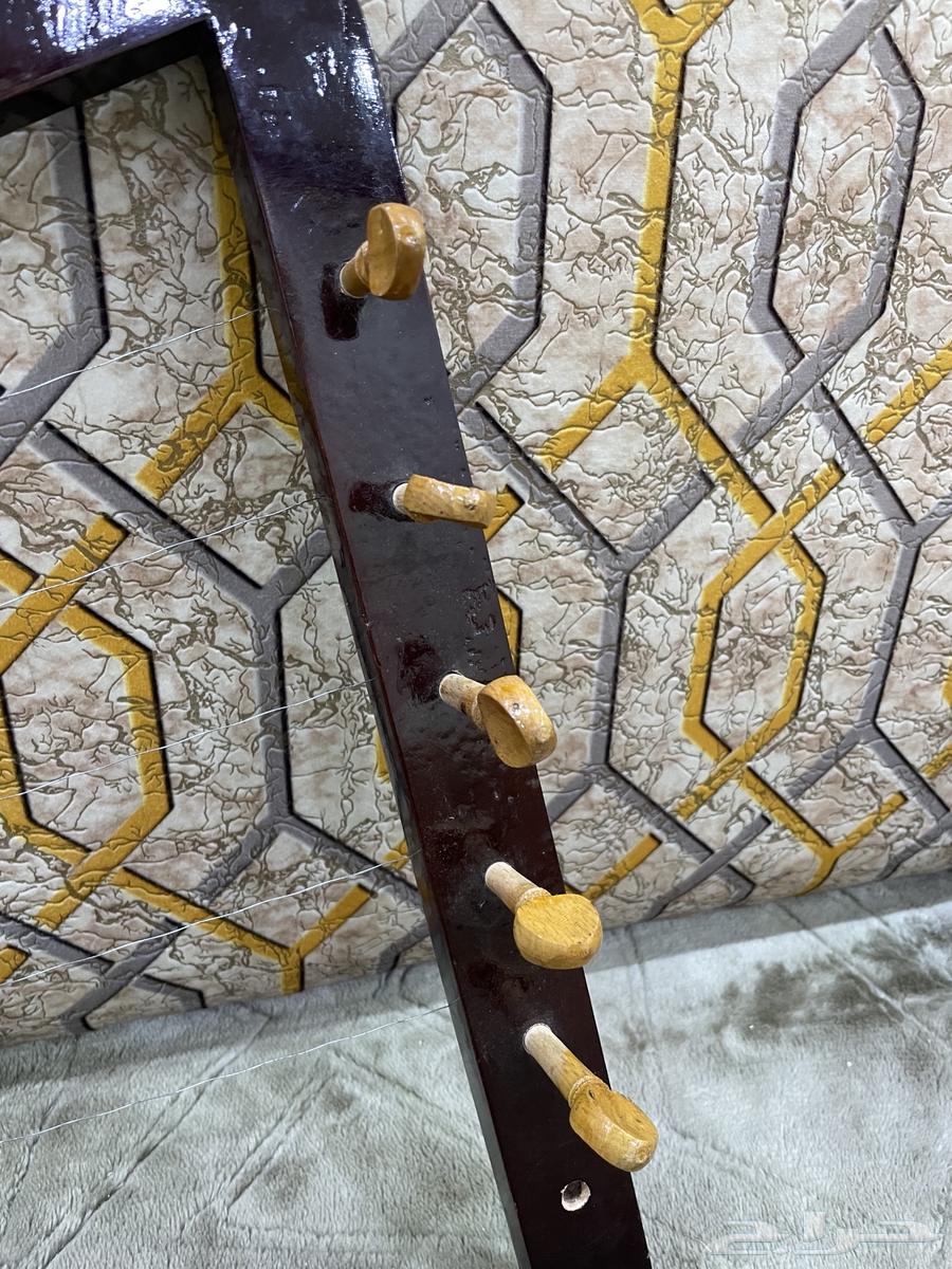 Except Sesame64479632746625112