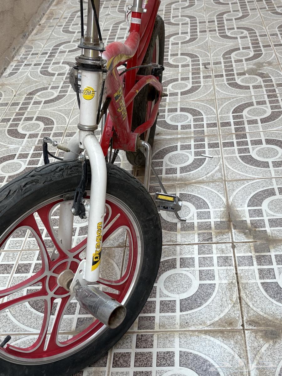 Cycla Cobra64481346033026110