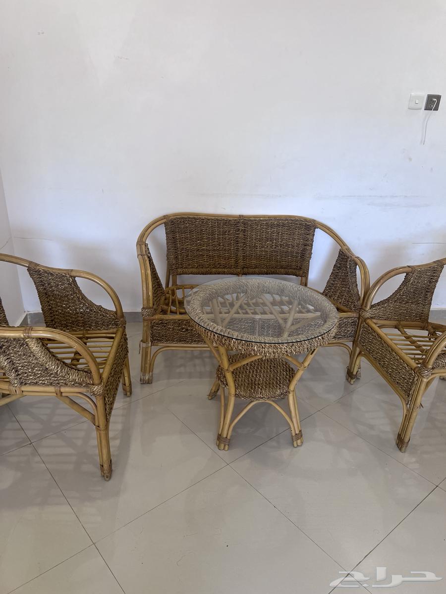 Garden Session64482823105666110