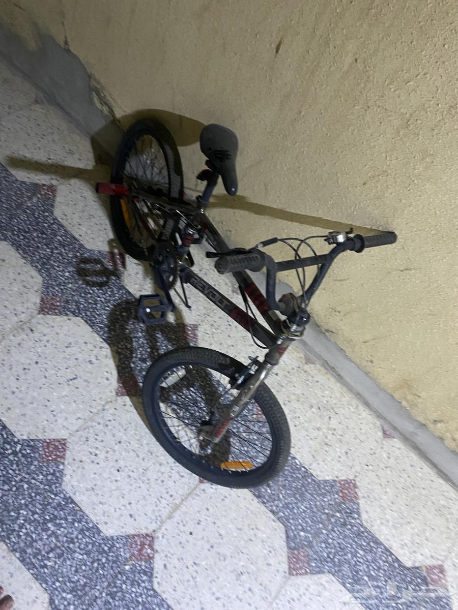 A new bike with two seats where you can adjust one to sit in and another64482539022595112