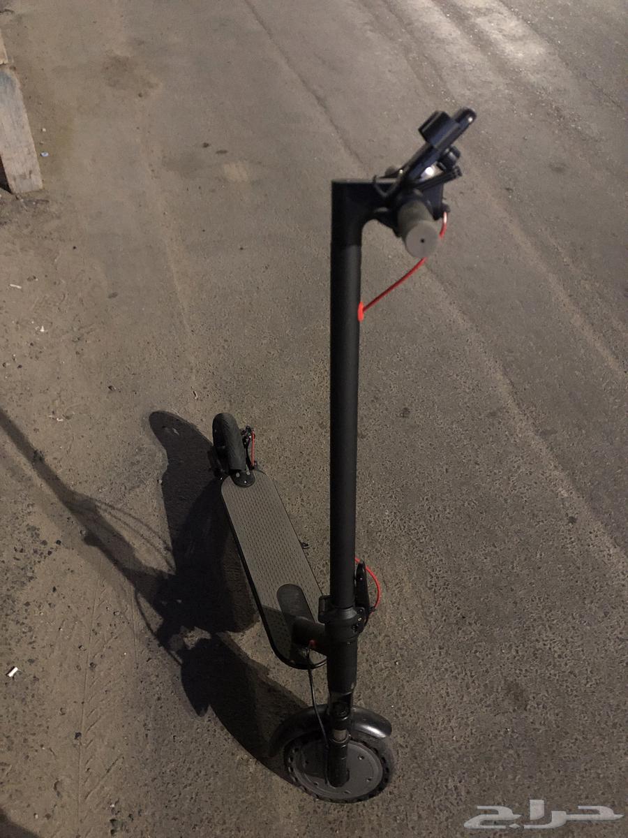 Scooter64484294357378111