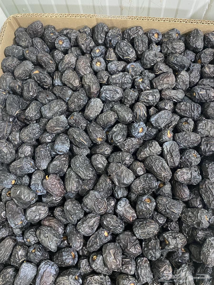 عجوة وصفاوي للبيع جمله وتفريد64480565262593113