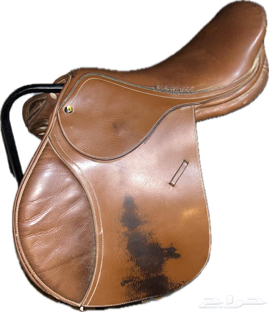 سرج قفز الحقو يا اصحاب الفروسية64478995053186110