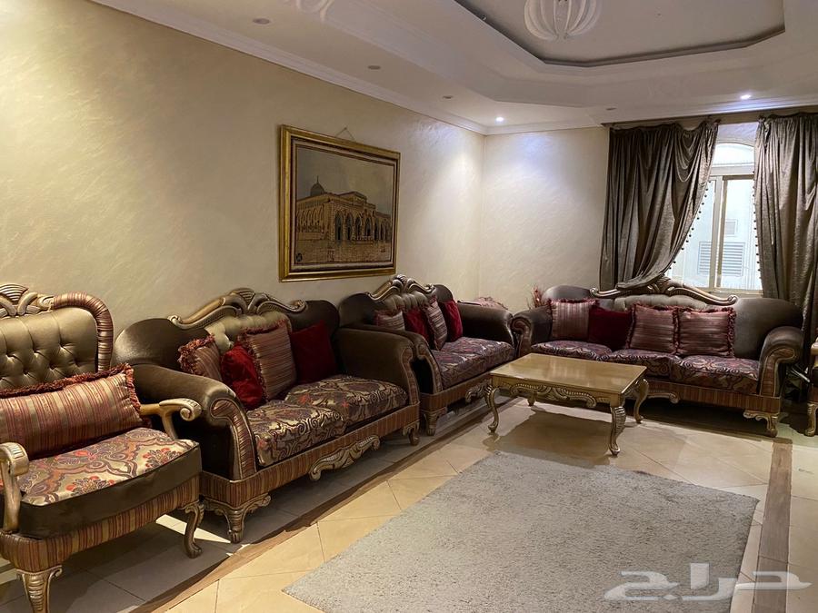 كنب ضيوف مجلس للبيع64479465949443110