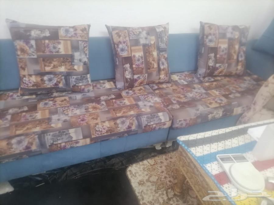 كنب زهري للبيع64485695772930113