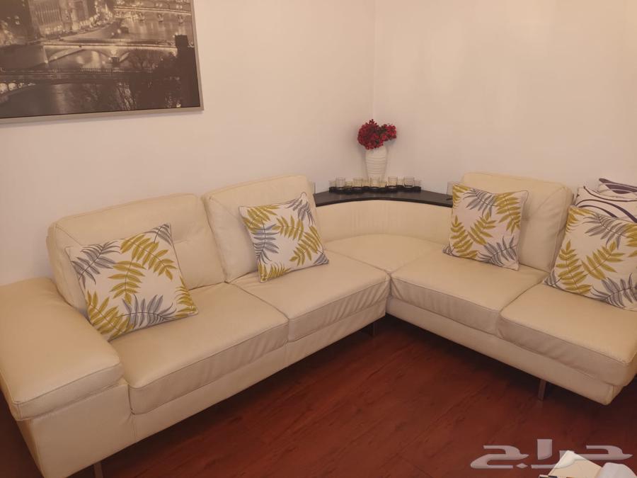 حي الصفا شارع ابن أبي ربيعه قرب مسجد الكوثر64484498188290113