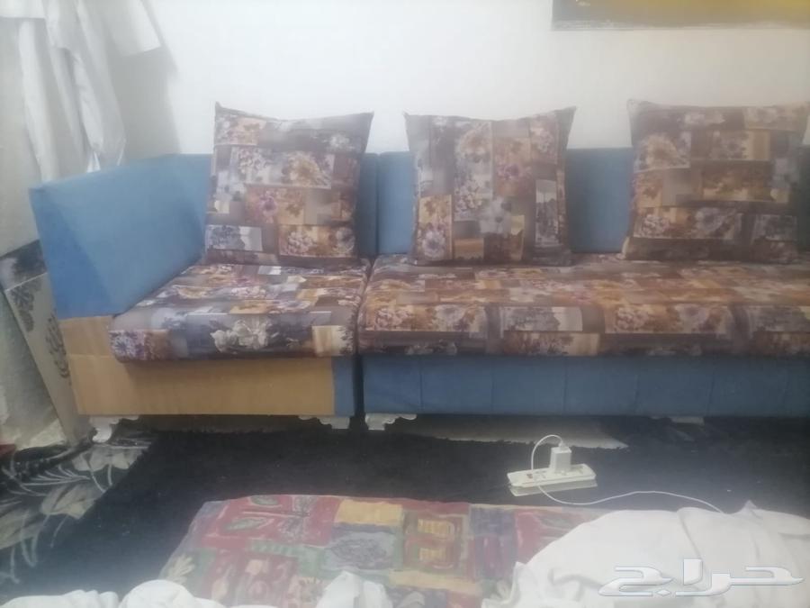 كنب زهري للبيع64485695772930112