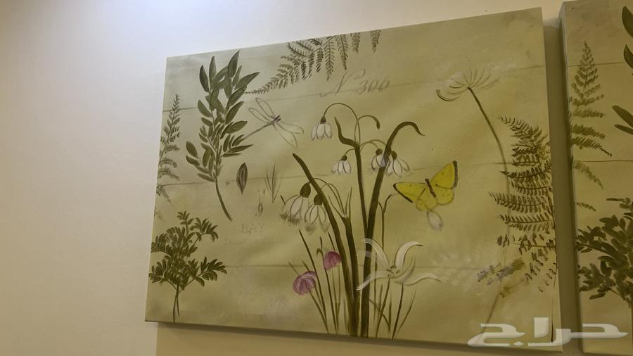 Two beautiful panels at home with some and the required amount 9964480881434369110