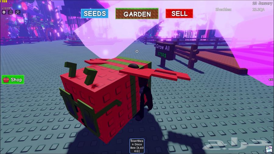 ديسكو بي للبيع64484348626561110