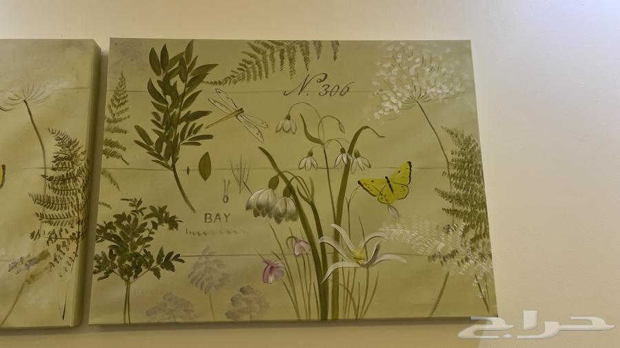 Two beautiful panels at home with some and the required amount 9964480881434369111