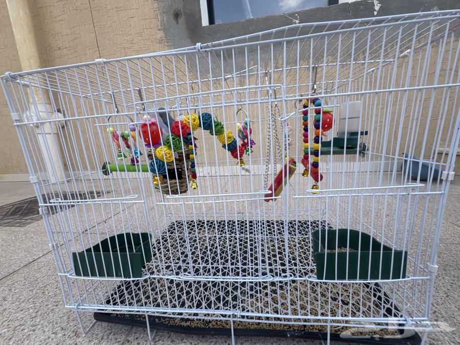 الطائف الحوية السعر 450 ريال ذكر أنثى هدد لا يوجد توصيل64482050717955111