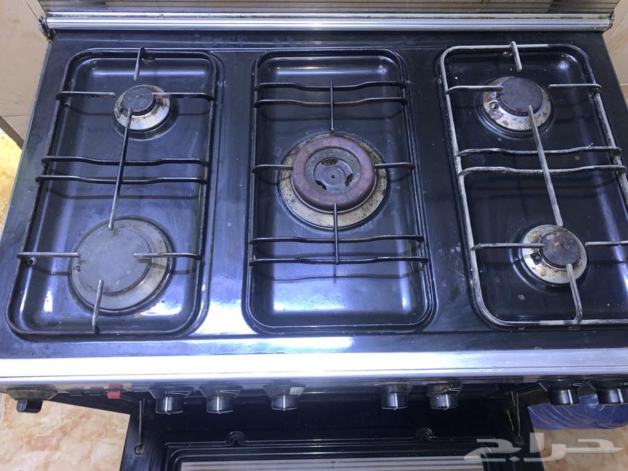 قز نظيف للبيع64485147837314110