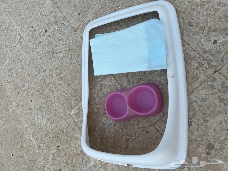 للبيع مستلزمات قطط وحوض سمك مستعجل64484552735874113