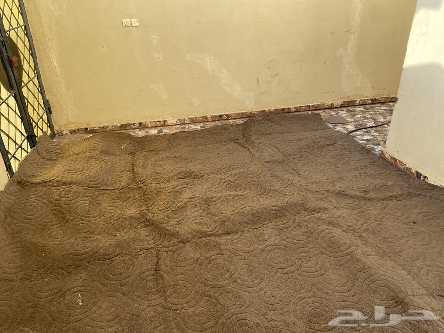 Clean 5 4 carpet64483246307970110