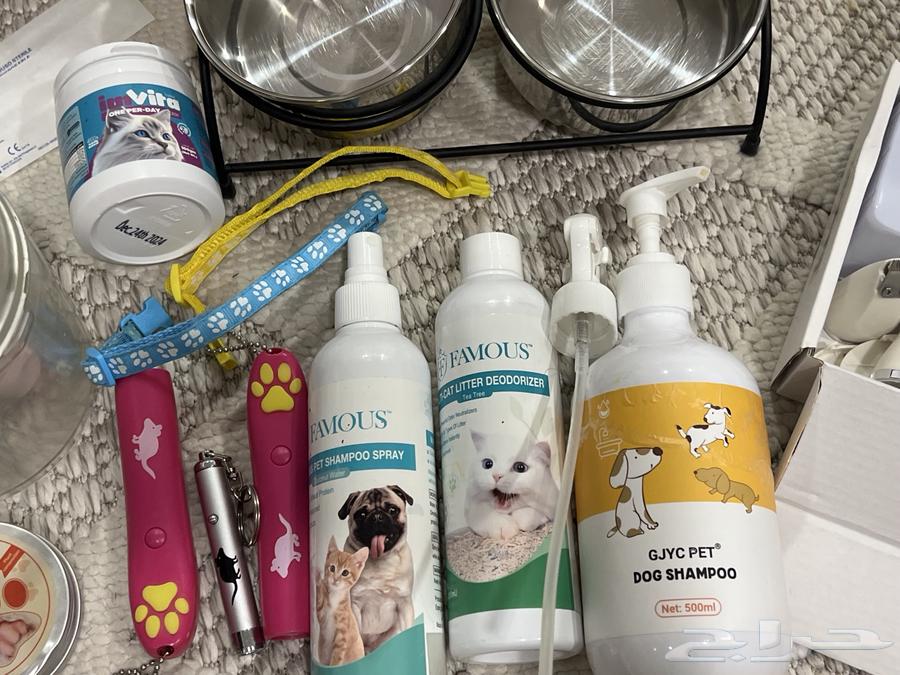 جميع مستلزمات القطط ب 80 كلها64481359685507110