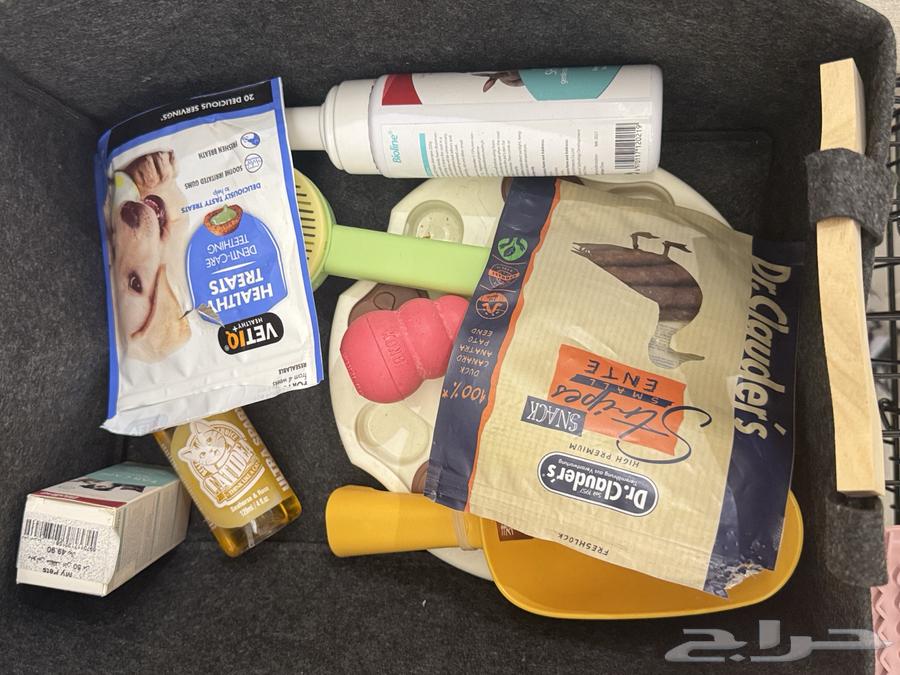 كلب مالتيبو64482823072899113