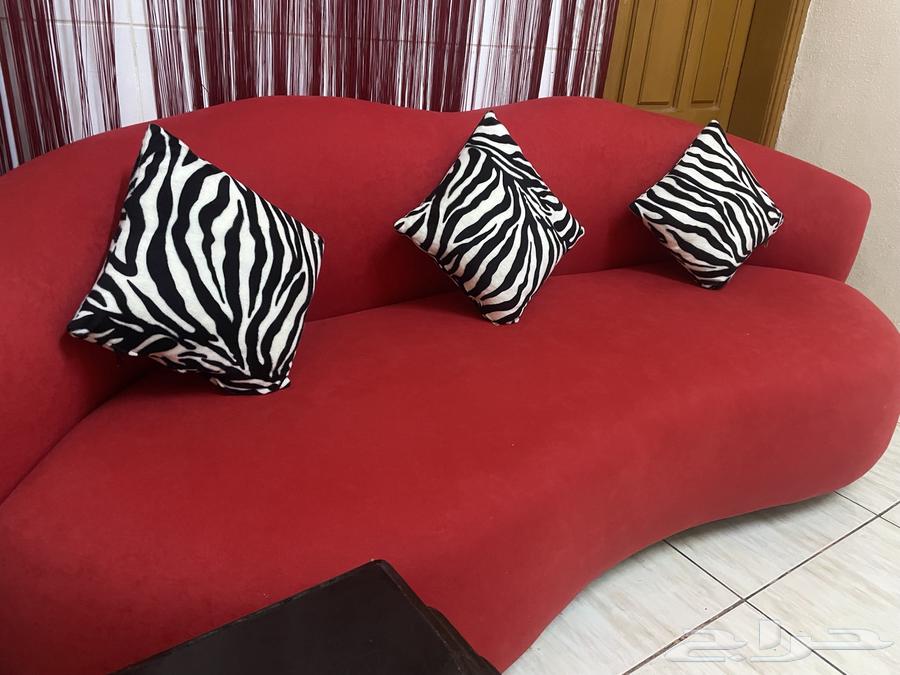 كنبتين حمراء مع خمسه مساند اسود وابيض اللون64484375511297110