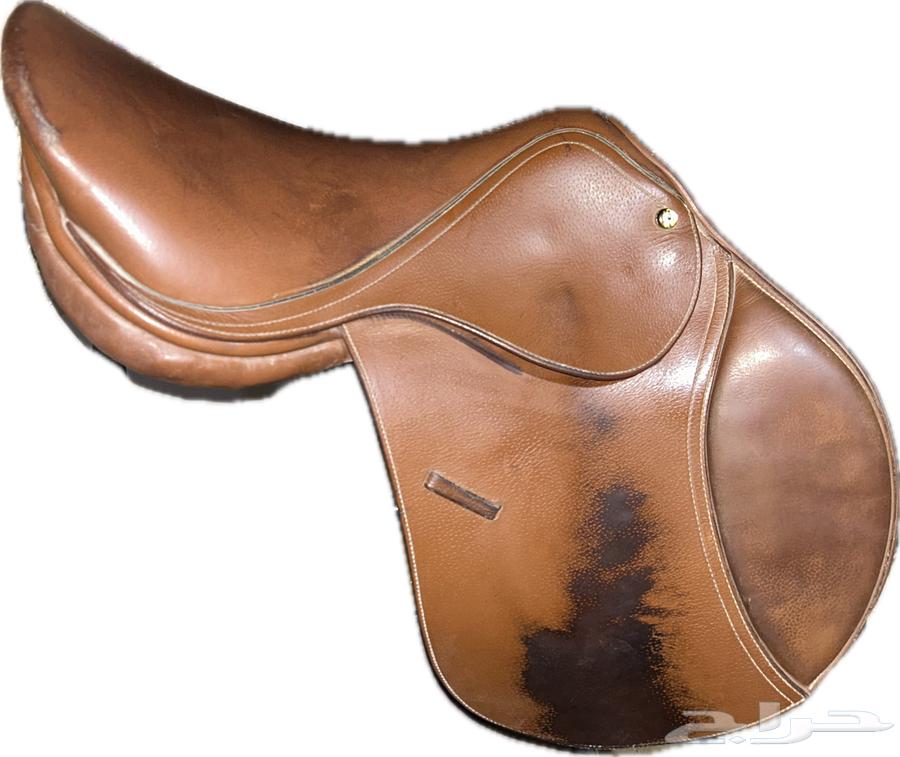 سرج قفز الحقو يا اصحاب الفروسية64478995053186111