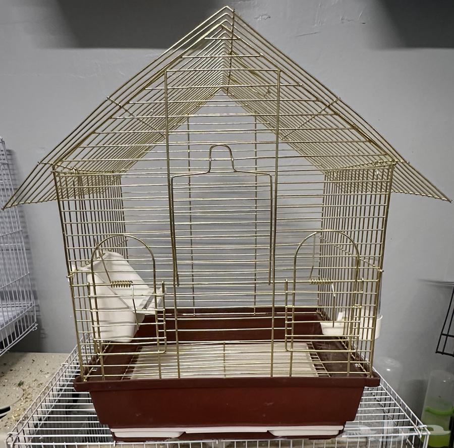 قفص طيور زينة64479548929795110