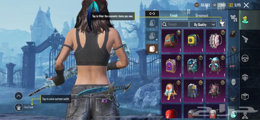 حساب ببجي جميل ورخيص64482131991555113