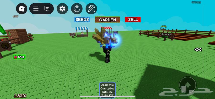 دراقون فلاي و كيتسوني ازرق64481873083777112