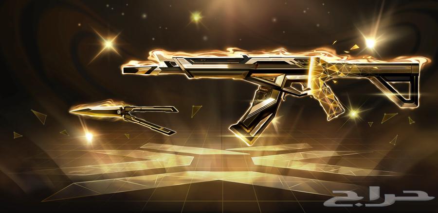 تشامبيون فالورانت 202564485737194371110