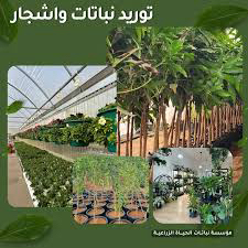 خبير زراعي64155542706178112