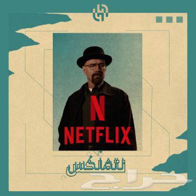 Private and shared Netflix subscription64485120664065110