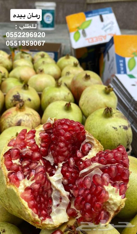 رمان الباحه بيده64479051043970112