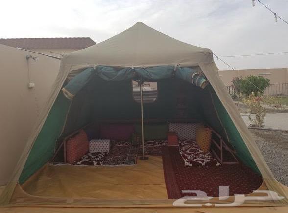 خيمة القاضي للبيع64481141825794110