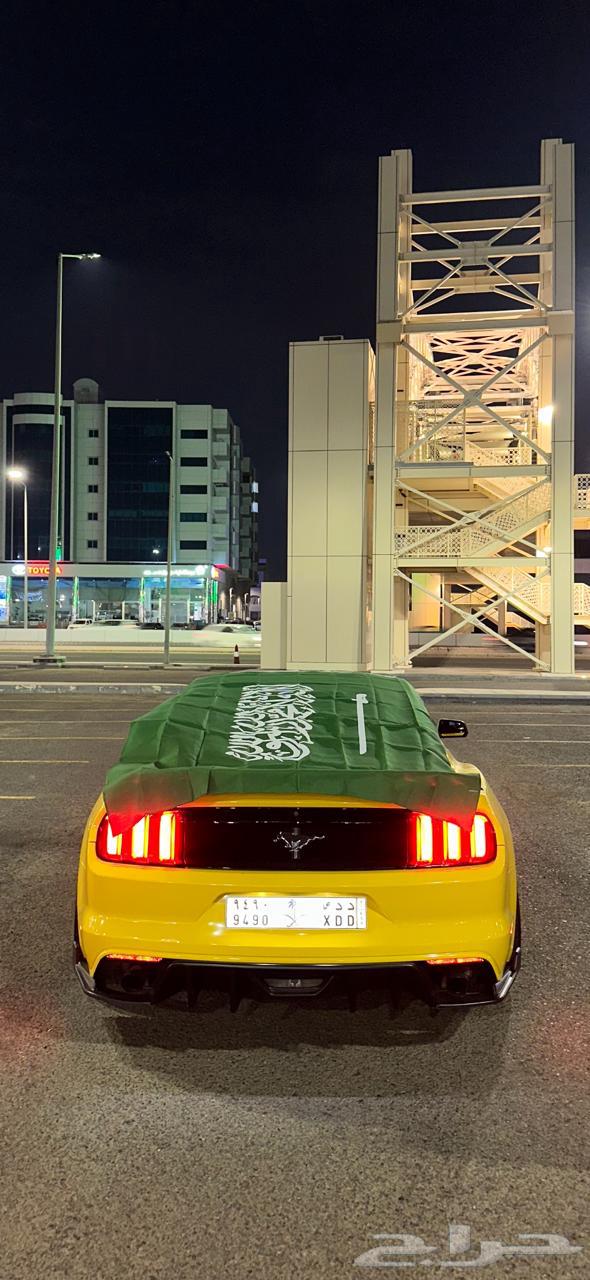 Largest Kingdom Flag for Only 70 SAR64488118275586111