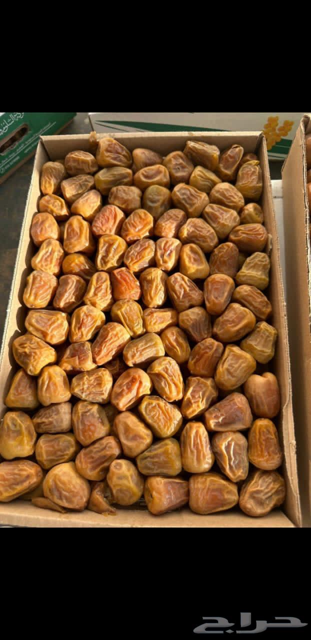 للبيع جمله تمر سكري64483000748673110