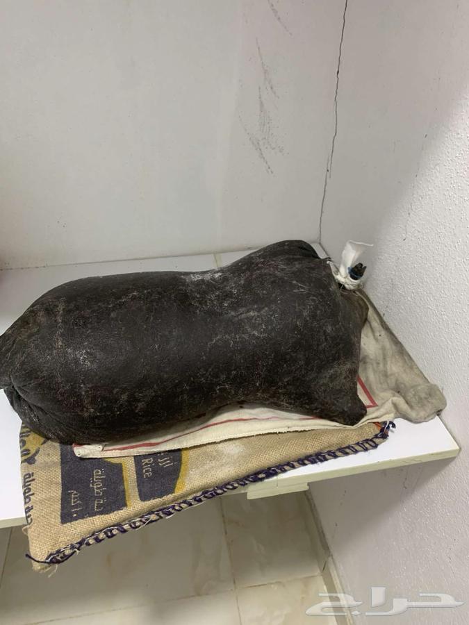 Sheep ghee64481750349570111