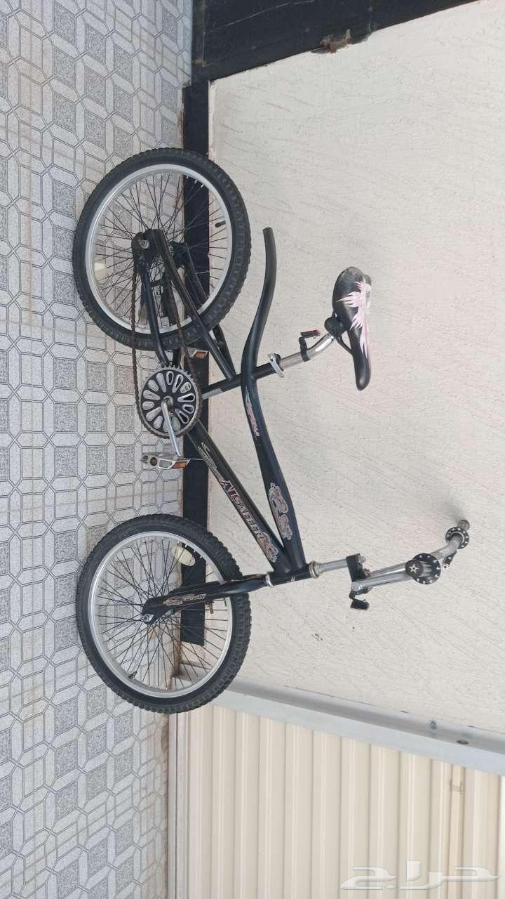 كسيل كوبرا اسود مقاس 2064481654399618114