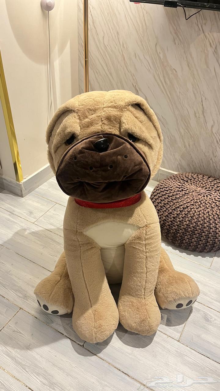 دبدو ب64483055090562112