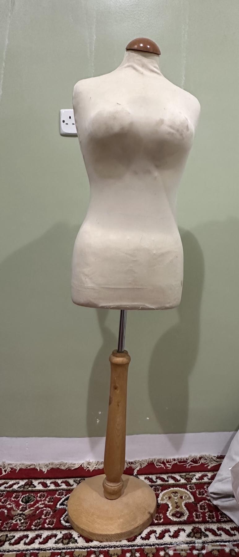 Mannequins in various sizes for fashion display64480537737859112