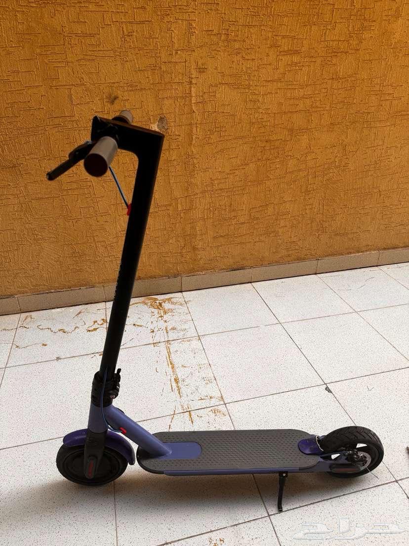 سكوتر شاومي برو للبيع64484321315970110