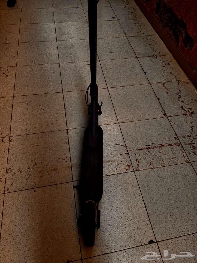 سكوتر شاومي برو للبيع64484321315970112