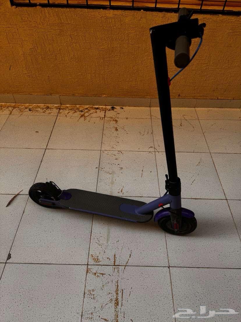 سكوتر شاومي برو للبيع64484321315970113
