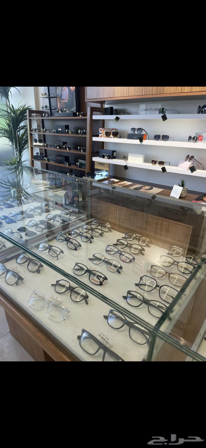 ديكور محل نظارات للبيع كامل64481359521922111