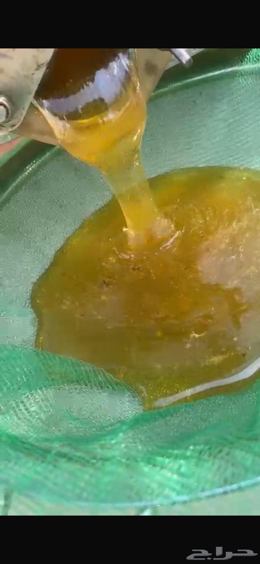 عسل سدر الشمال رفحا لا تدفع ولا ريال64486095506306111