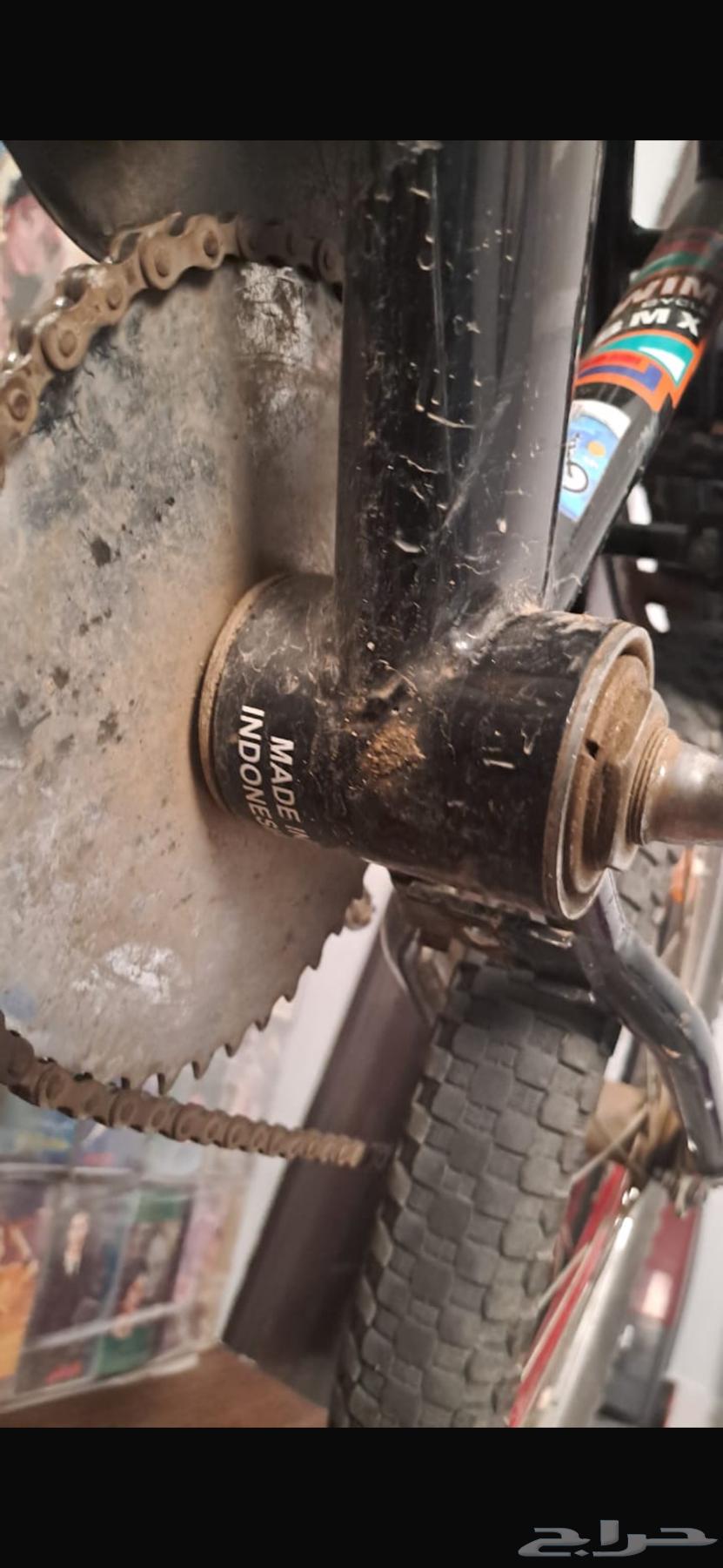 رامبو اندونيسي اصلي للبيع ع سوم64481599400065113